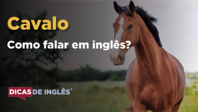 Como falar Cavalo em ingles