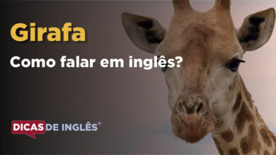 Como falar Girafa em ingles