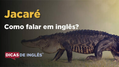 Como falar Jacare em ingles
