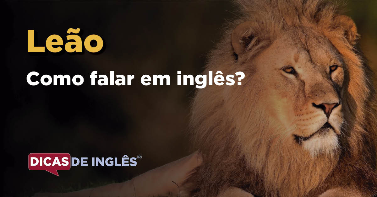 Já descobriu o que a palavra Lion em inglês quer dizer