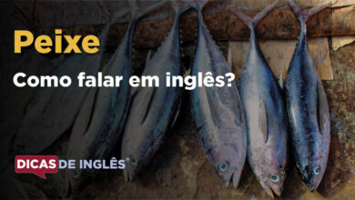 Como falar Peixe em ingles