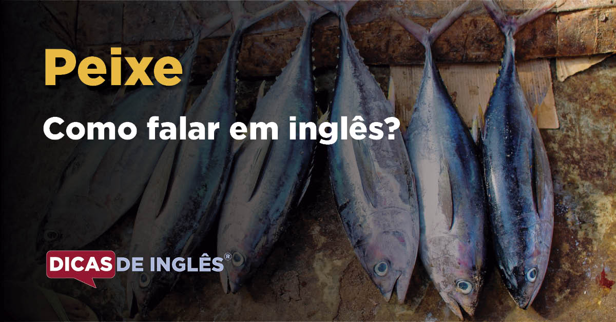 Como Falar Peixe Em Inglês Dicas De Inglês