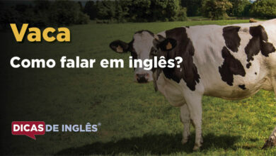 Como falar Vaca em ingles