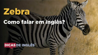 Como falar Zebra em ingles