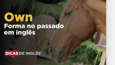 O passado de own em inglês