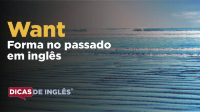 O passado de want em inglês