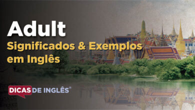 O que Adult significa em ingles