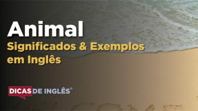 O que Animal significa em ingles