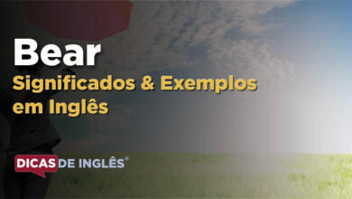 O que Bear significa em ingles