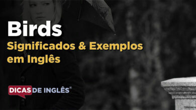 O que Birds significa em ingles