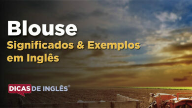 O que Blouse significa em ingles