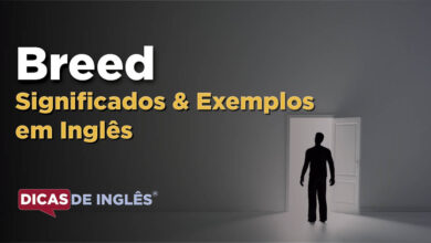 O que Breed significa em ingles