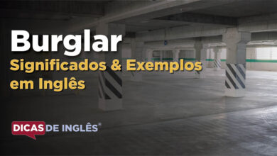 O que Burglar significa em ingles