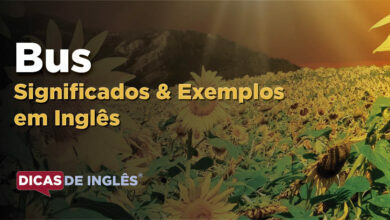 O que Bus significa em ingles