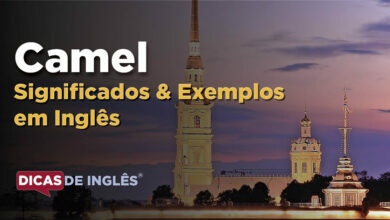 O que Camel significa em ingles
