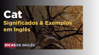 O que Cat significa em ingles