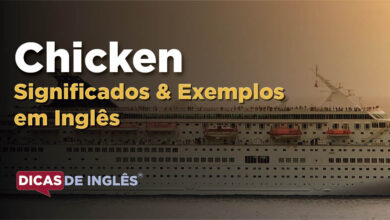 O que Chicken significa em ingles
