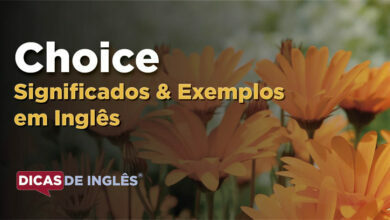 O que Choice significa em ingles
