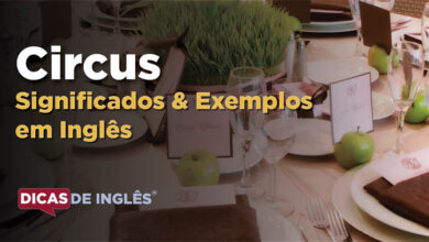 O que Circus significa em ingles