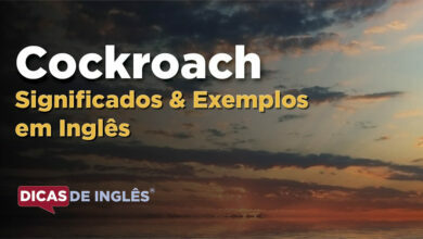 O que Cockroach significa em ingles
