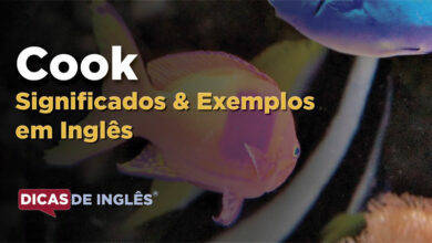 O que Cook significa em ingles