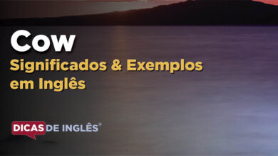 O que Cow significa em ingles