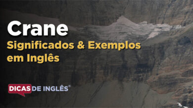 O que Crane significa em ingles