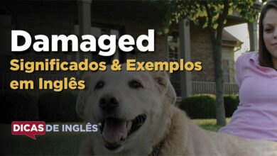 O que Damaged significa em ingles