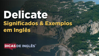O que Delicate significa em ingles
