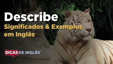 O que Describe significa em ingles