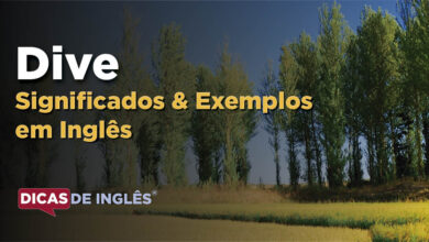 O que Dive significa em ingles
