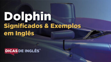 O que Dolphin significa em ingles