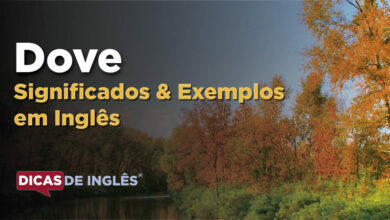 O que Dove significa em ingles