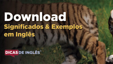 O que Download significa em ingles