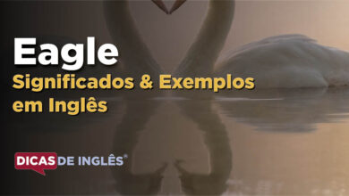 O que Eagle significa em ingles
