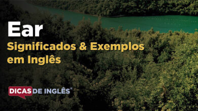 O que Ear significa em ingles