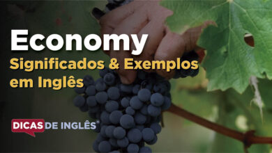 O que Economy significa em ingles