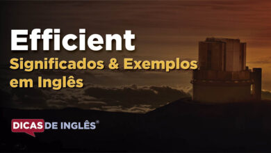 O que Efficient significa em ingles