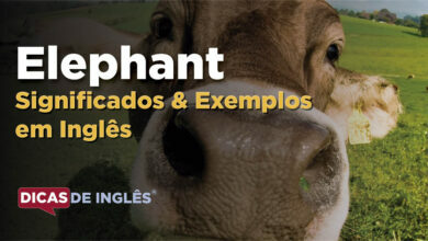 O que Elephant significa em ingles