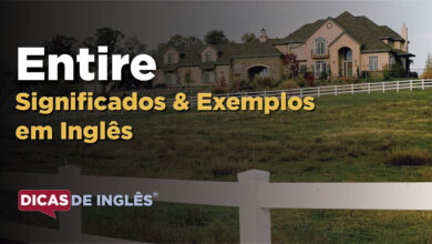 O que Entire significa em ingles