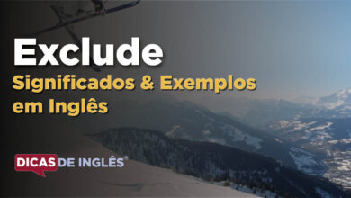 O que Exclude significa em ingles