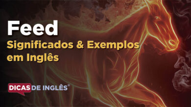 O que Feed significa em ingles