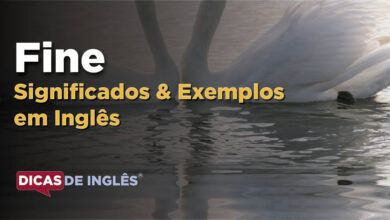 O que Fine significa em ingles