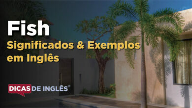 O que Fish significa em ingles