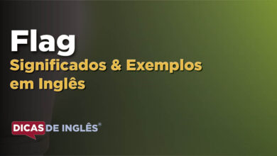 O que Flag significa em ingles