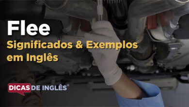 O que Flee significa em ingles