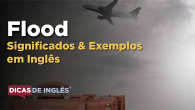 O que Flood significa em ingles