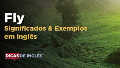 O que Fly significa em ingles
