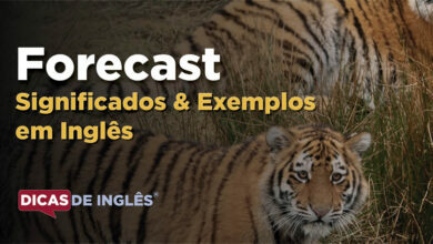 O que Forecast significa em ingles