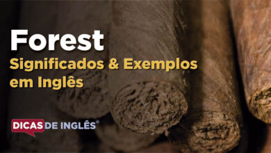 O que Forest significa em ingles